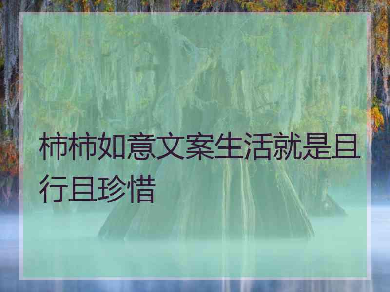 柿柿如意文案生活就是且行且珍惜