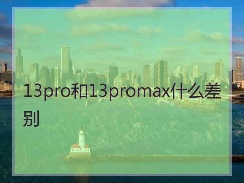 13pro和13promax什么差别