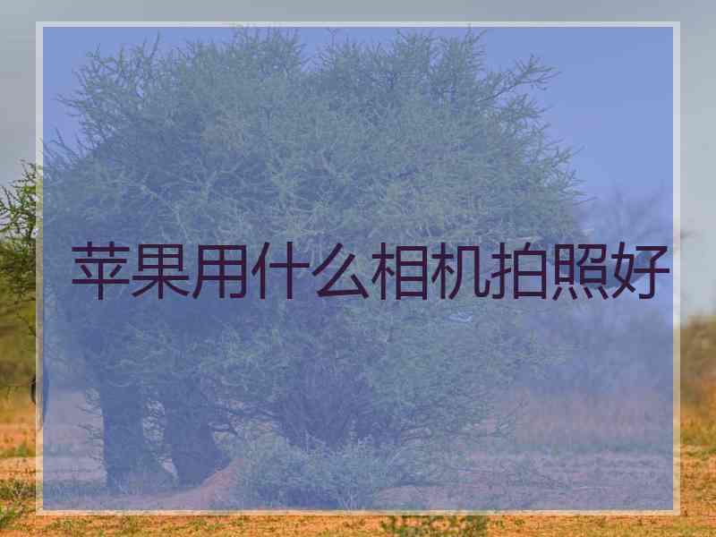 苹果用什么相机拍照好