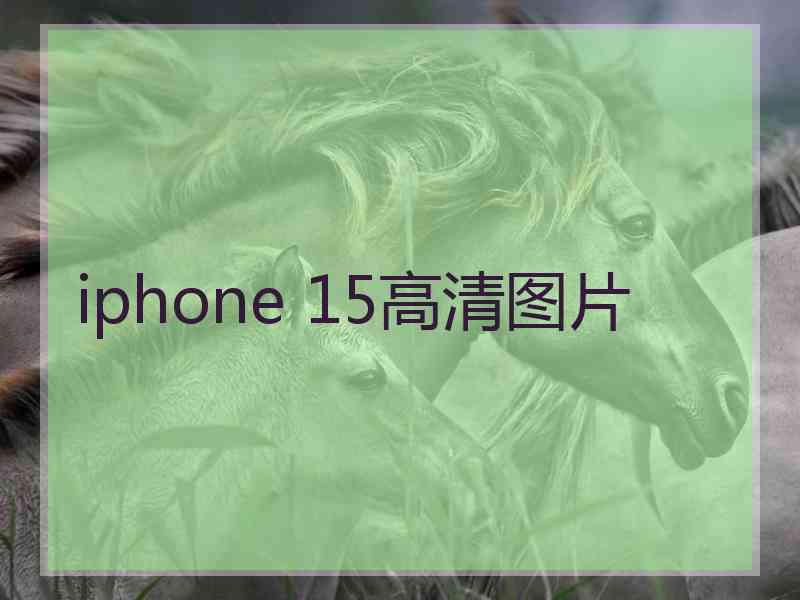 iphone 15高清图片