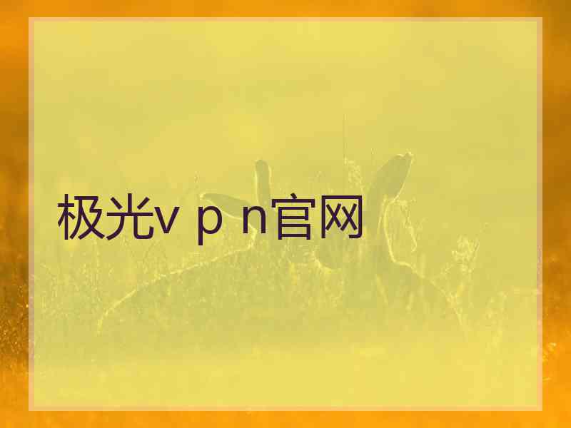 极光v p n官网