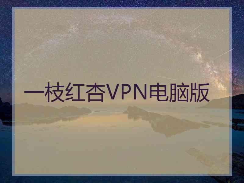 一枝红杏VPN电脑版