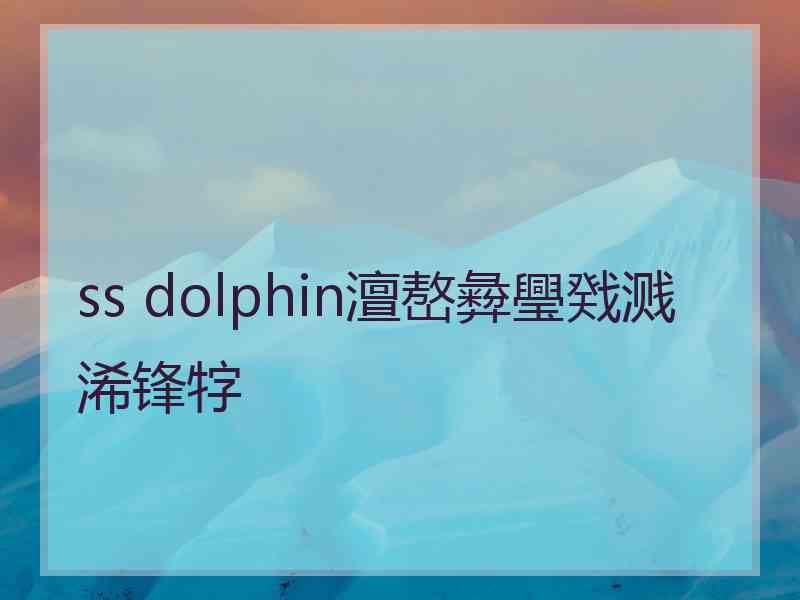 ss dolphin澶嶅彜璺戣溅浠锋牸