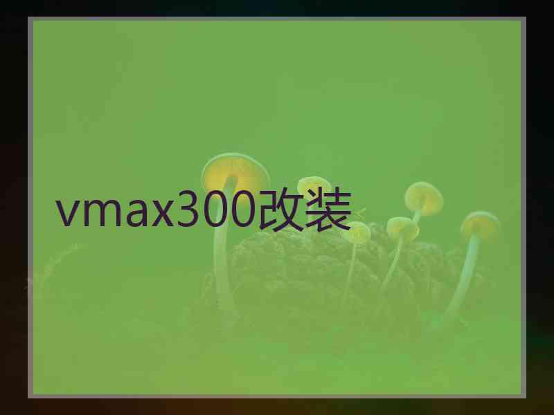 vmax300改装