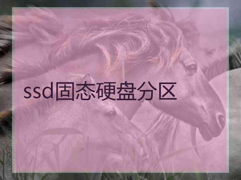 ssd固态硬盘分区