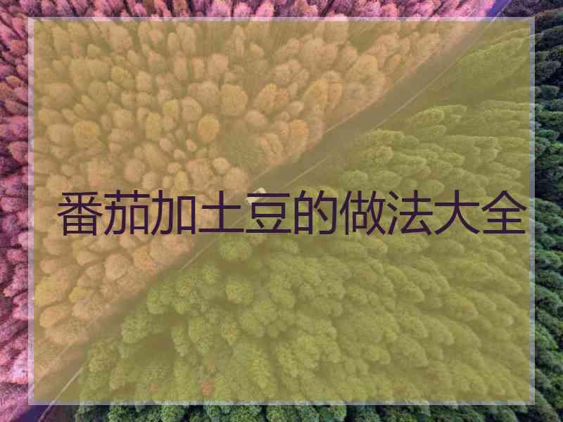 番茄加土豆的做法大全