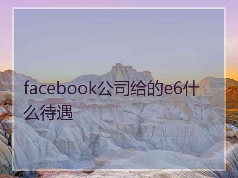 facebook公司给的e6什么待遇