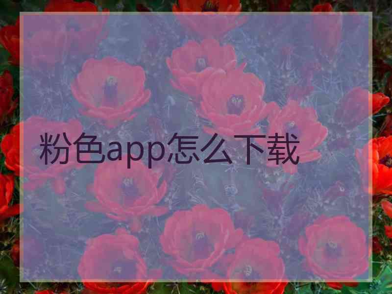 粉色app怎么下载