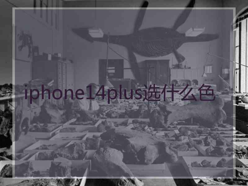 iphone14plus选什么色