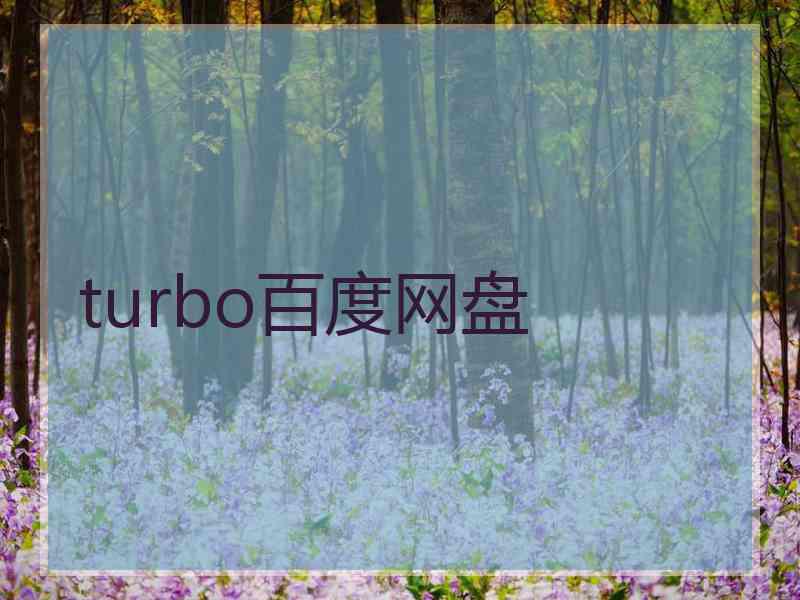 turbo百度网盘