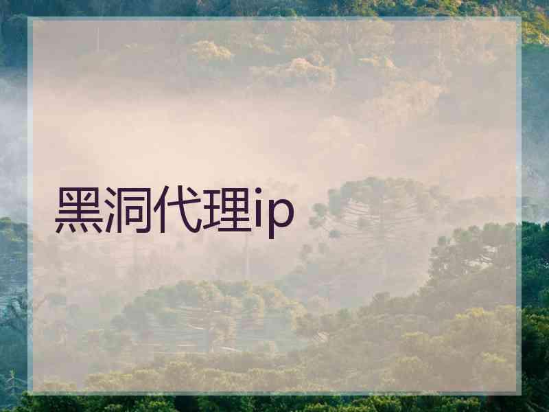 黑洞代理ip