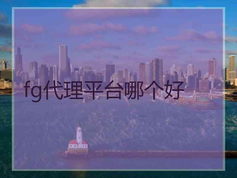 fg代理平台哪个好