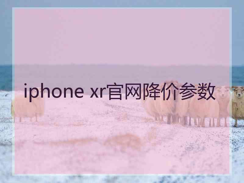 iphone xr官网降价参数