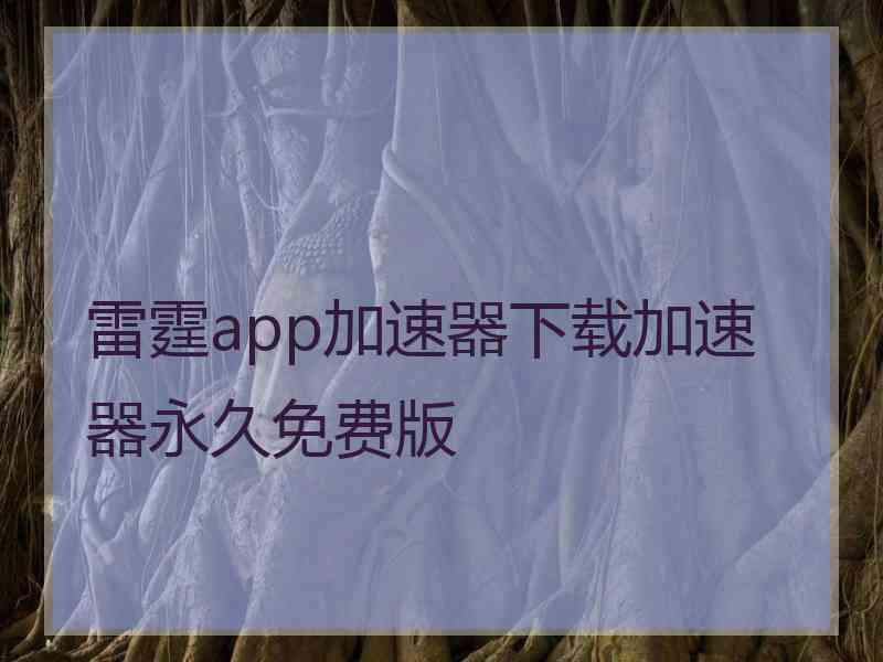 雷霆app加速器下载加速器永久免费版