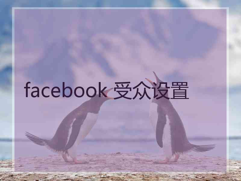 facebook 受众设置