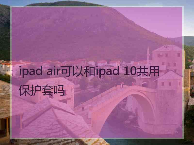 ipad air可以和ipad 10共用保护套吗