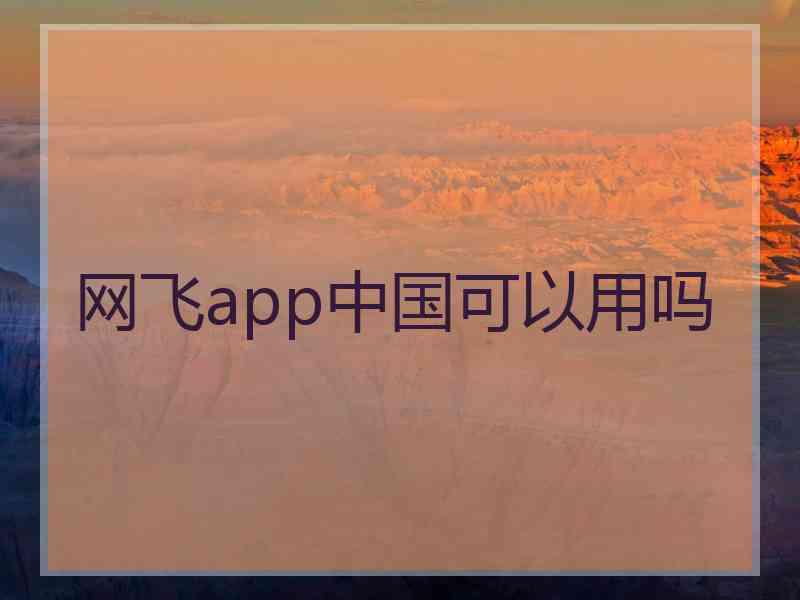 网飞app中国可以用吗