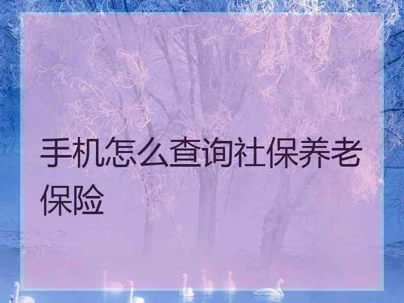 手机怎么查询社保养老保险