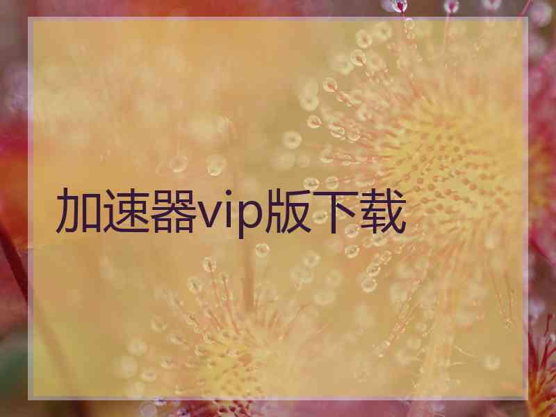 加速器vip版下载