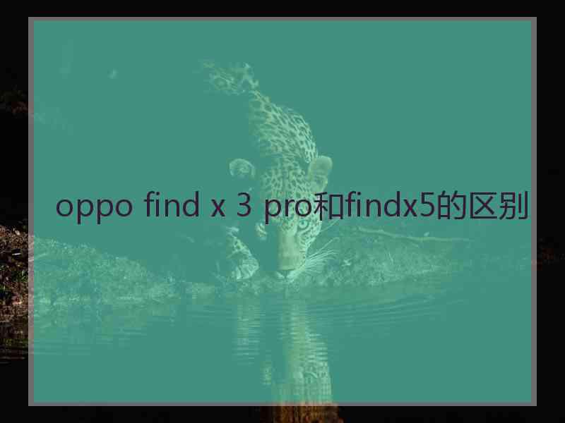 oppo find x 3 pro和findx5的区别