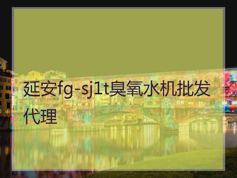 延安fg-sj1t臭氧水机批发代理