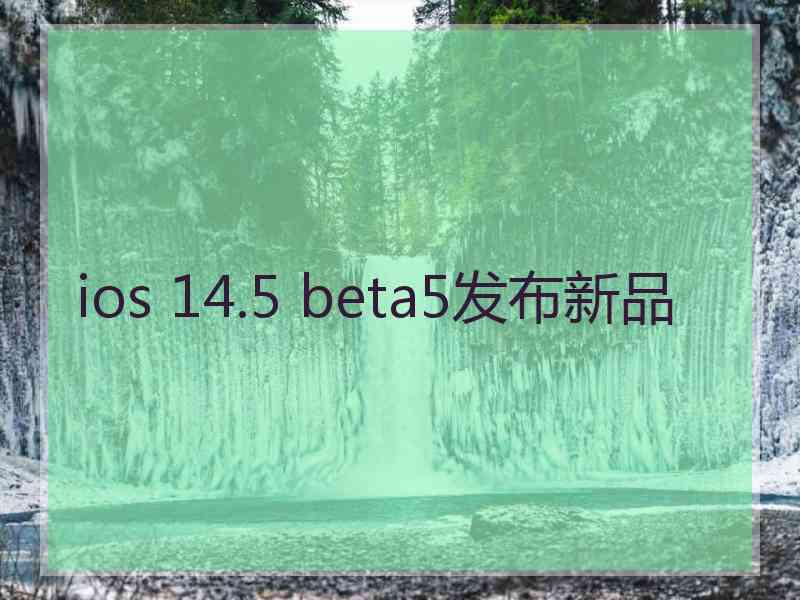 ios 14.5 beta5发布新品