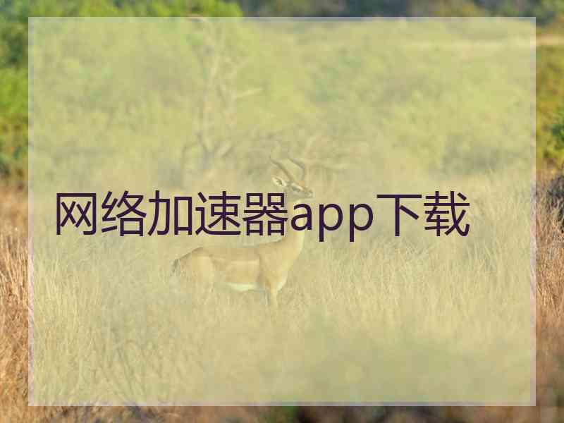 网络加速器app下载