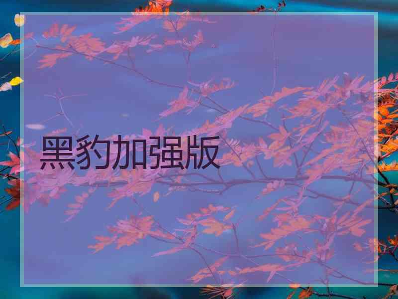 黑豹加强版