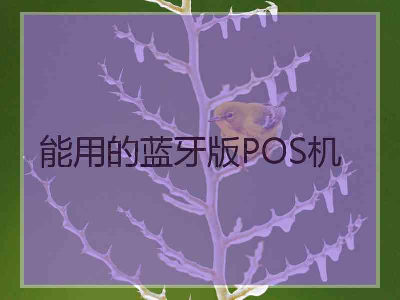 能用的蓝牙版POS机