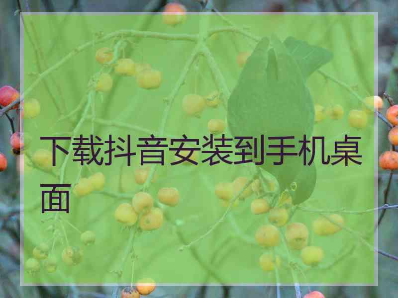 下载抖音安装到手机桌面