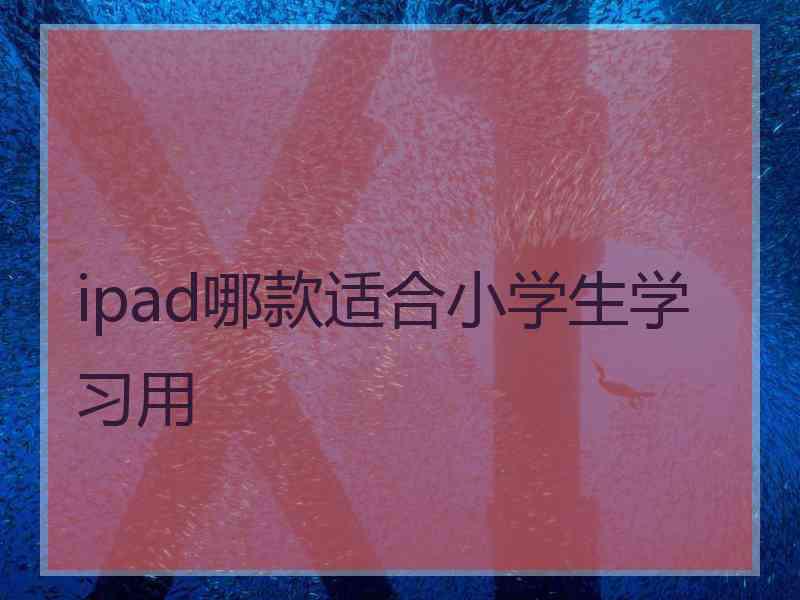 ipad哪款适合小学生学习用