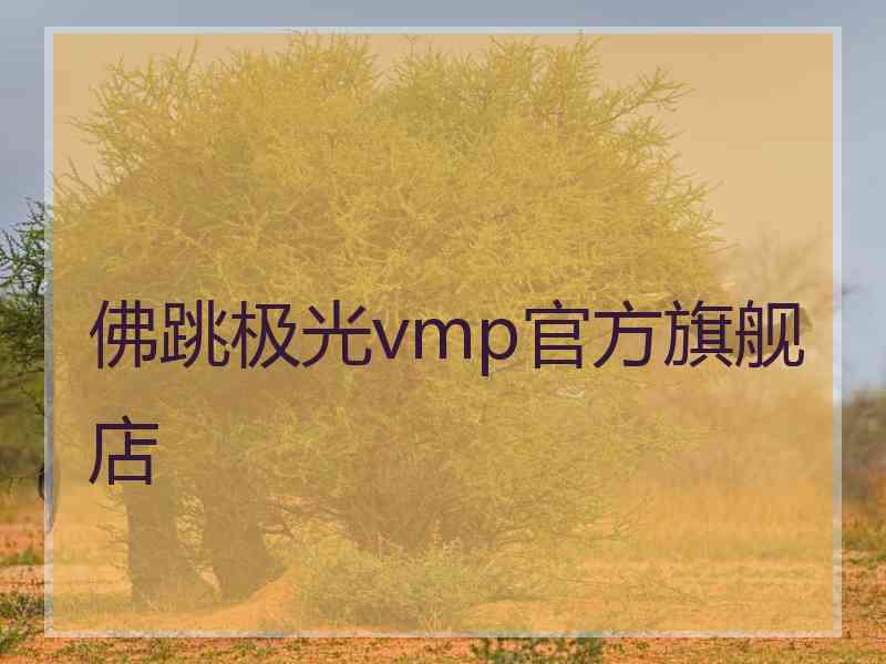 佛跳极光vmp官方旗舰店