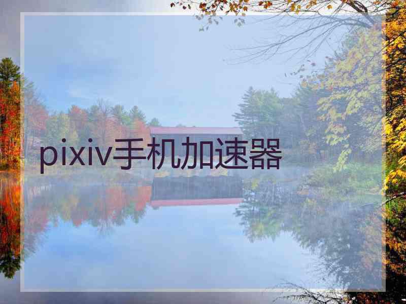 pixiv手机加速器