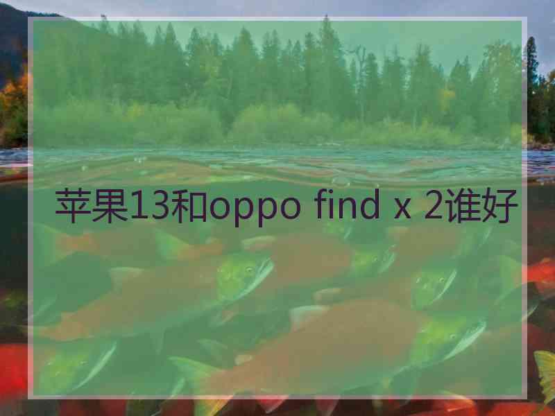 苹果13和oppo find x 2谁好