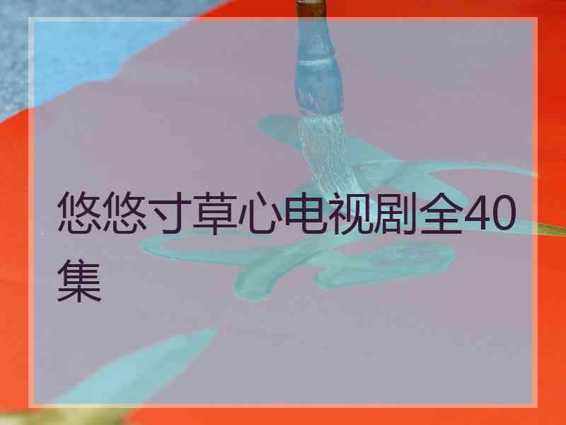 悠悠寸草心电视剧全40集