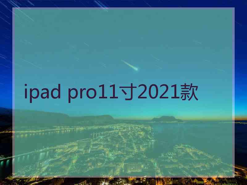 ipad pro11寸2021款