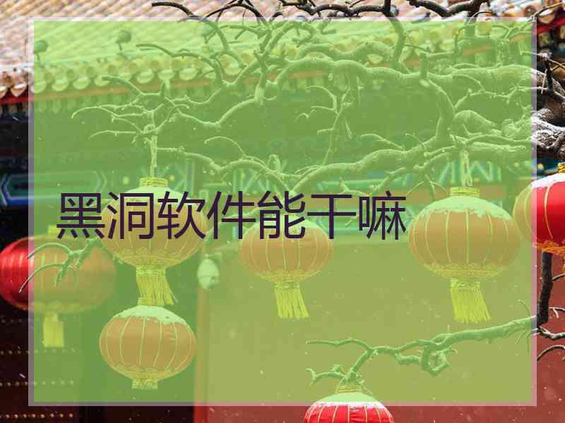 黑洞软件能干嘛