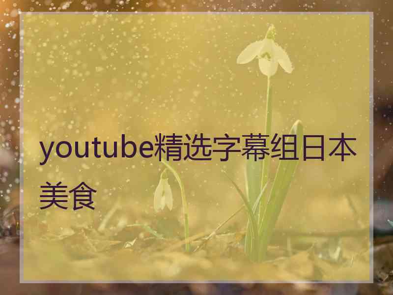 youtube精选字幕组日本美食