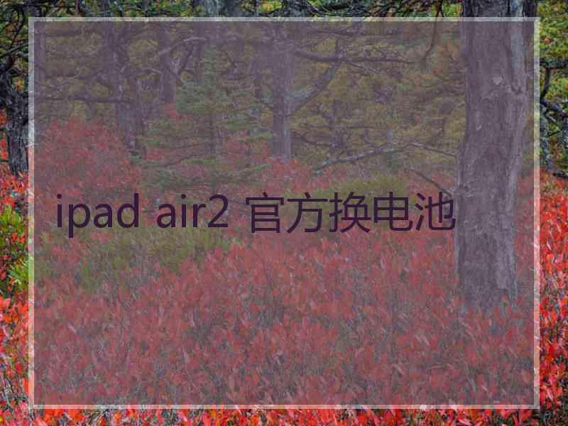 ipad air2 官方换电池