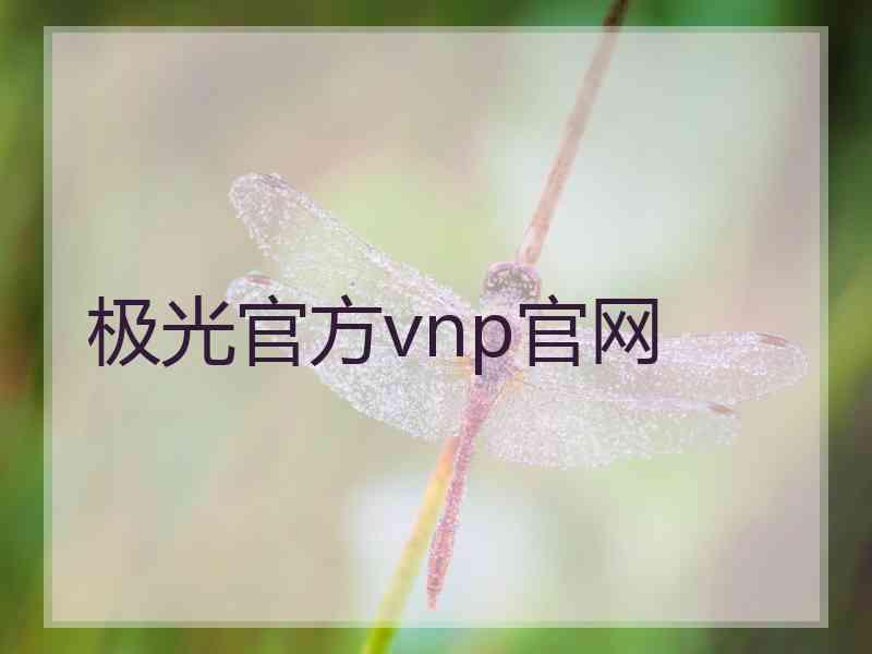 极光官方vnp官网