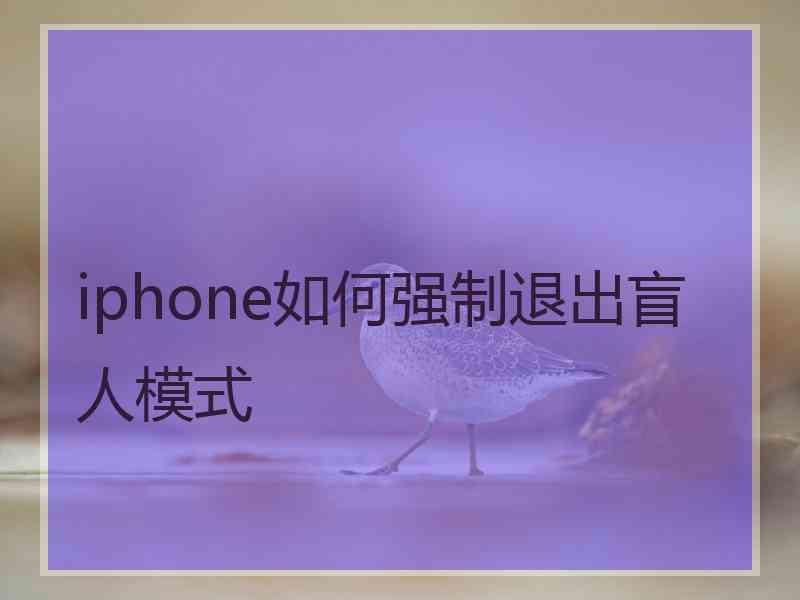 iphone如何强制退出盲人模式