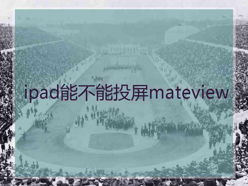 ipad能不能投屏mateview