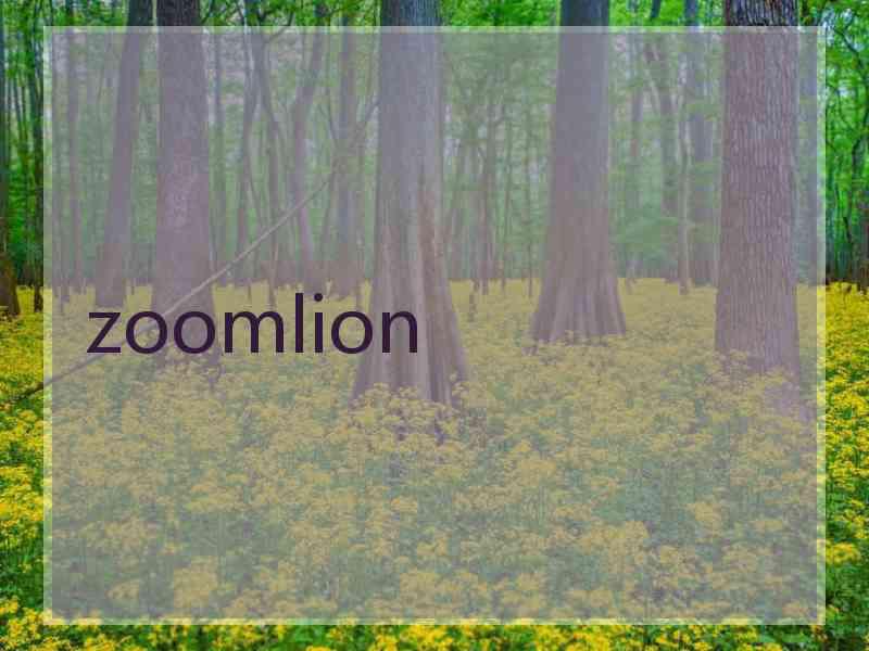 zoomlion