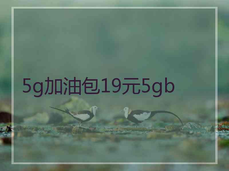 5g加油包19元5gb