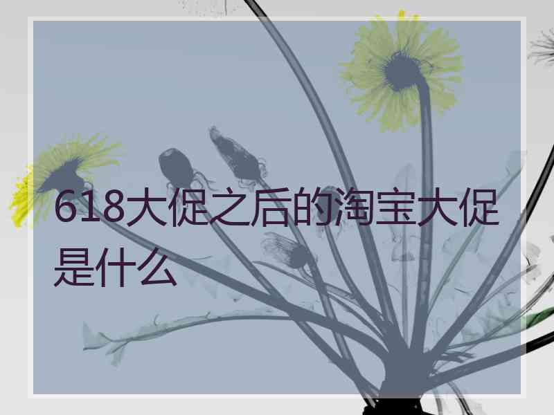 618大促之后的淘宝大促是什么