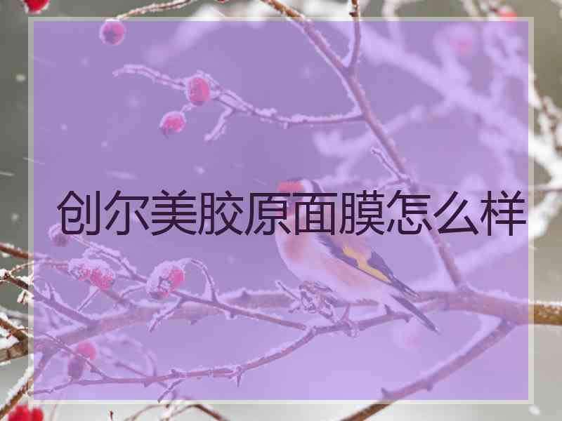 创尔美胶原面膜怎么样