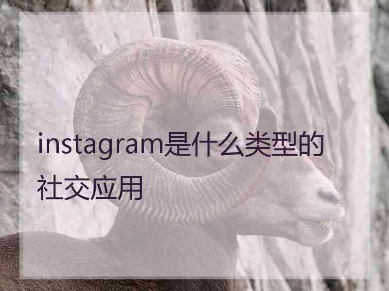 instagram是什么类型的社交应用