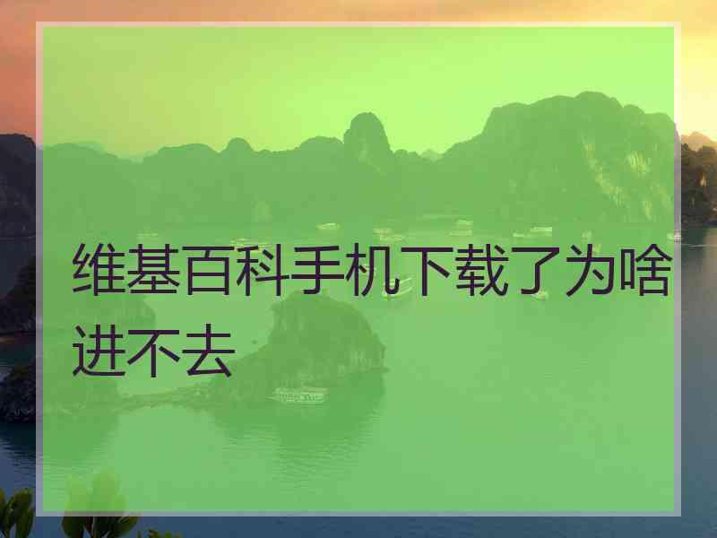 维基百科手机下载了为啥进不去