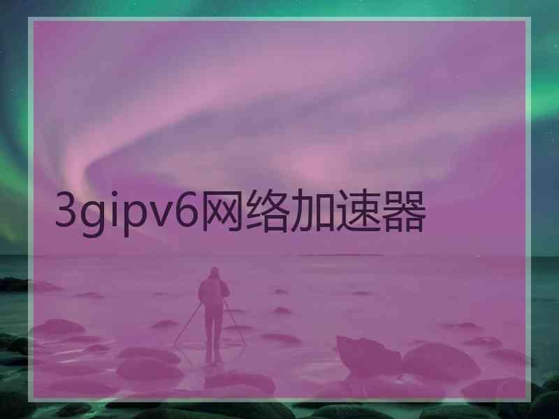 3gipv6网络加速器