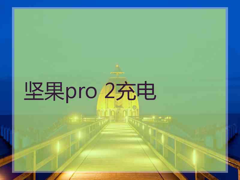 坚果pro 2充电